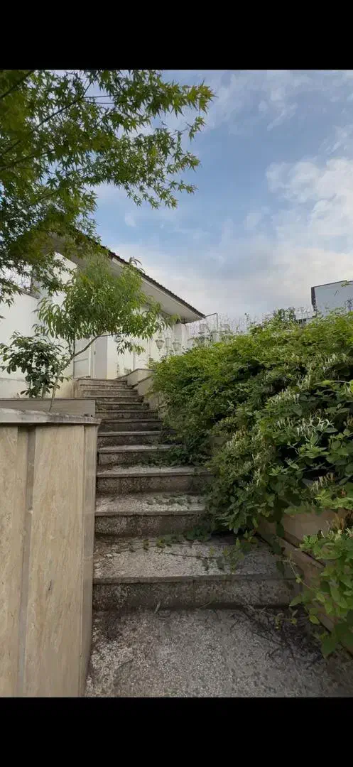 عمارت 1200متری نما کلاسیک تو دل جنگل فول مبله|فروش خانه و ویلا|شیرگاه, |دیوار