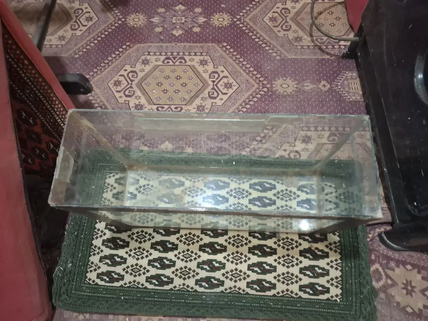 اکفاریوم در حد نو|ماهی|سبزوار, هویزه|دیوار