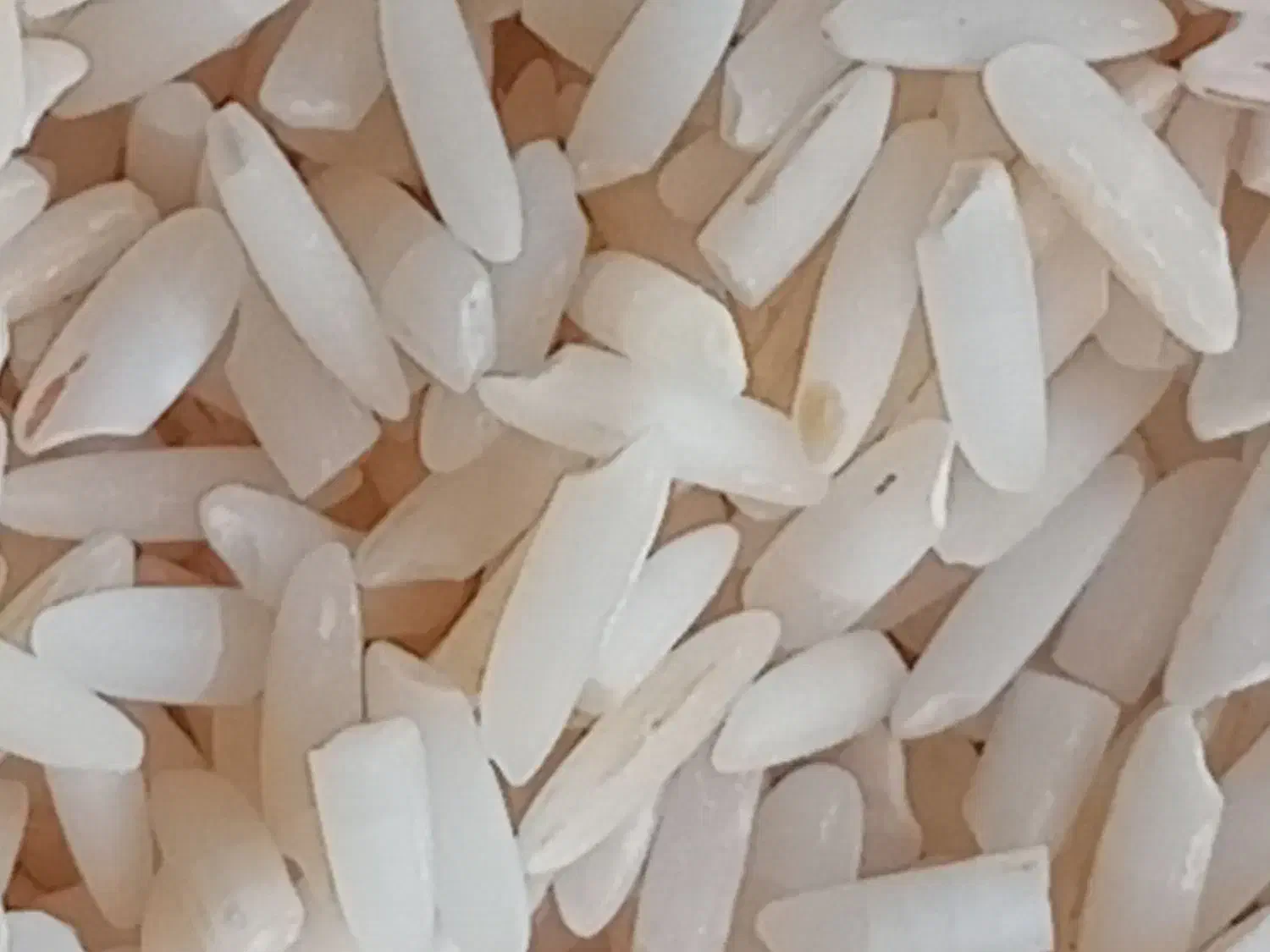 فروش برنج هاشمی سورتینگ زده|خوردنی و آشامیدنی|کلاچای, |دیوار