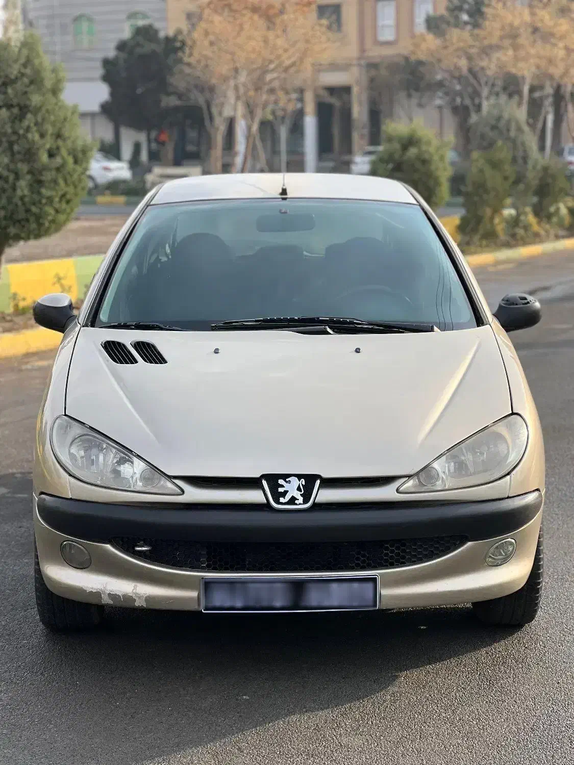 206 تیپ ۲|خودرو سواری و وانت|ملارد, |دیوار