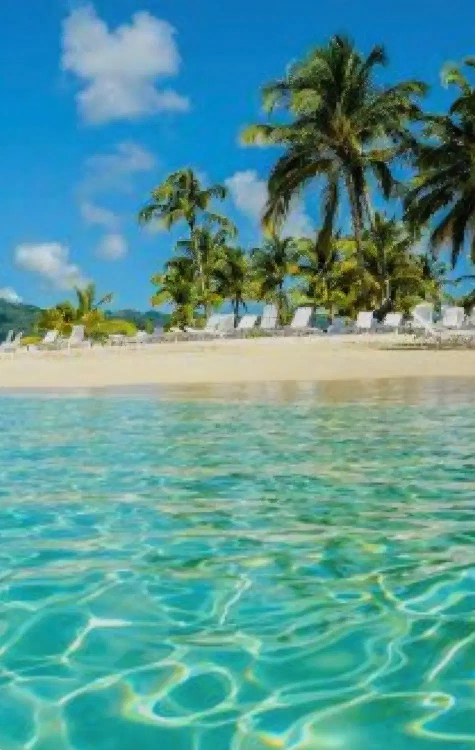 داوطلب لیدر|فعالیت داوطلبانه|کرمان, |دیوار