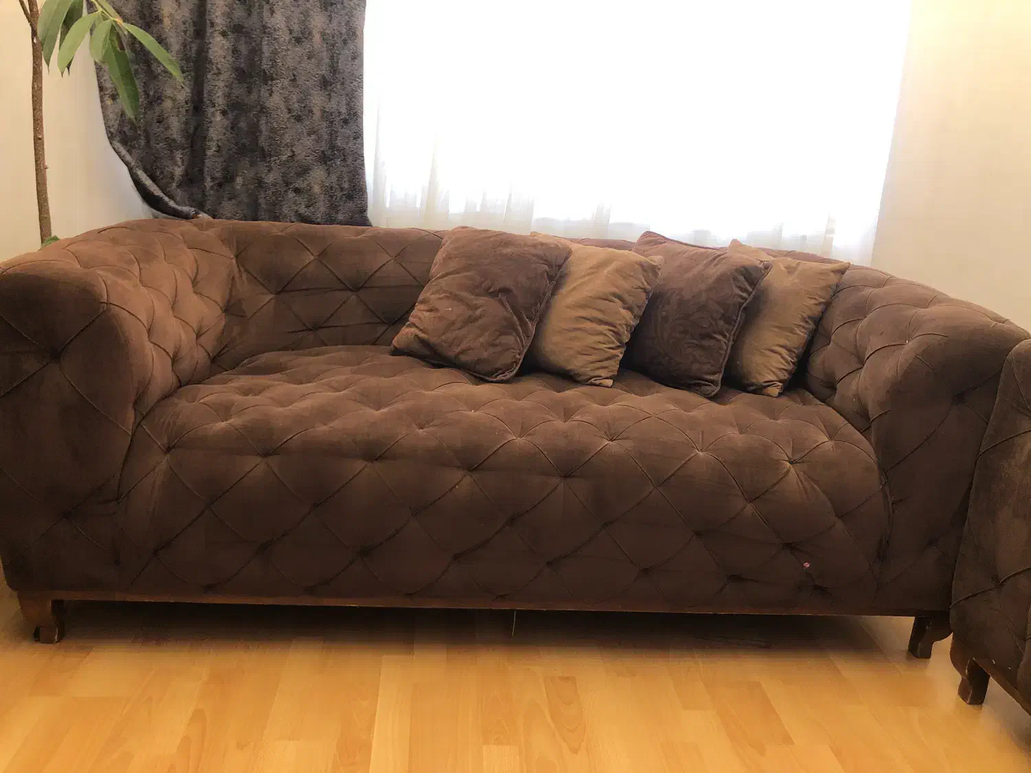 مبل چستر درحد نو|مبلمان خانگی و میز عسلی|ساری, |دیوار