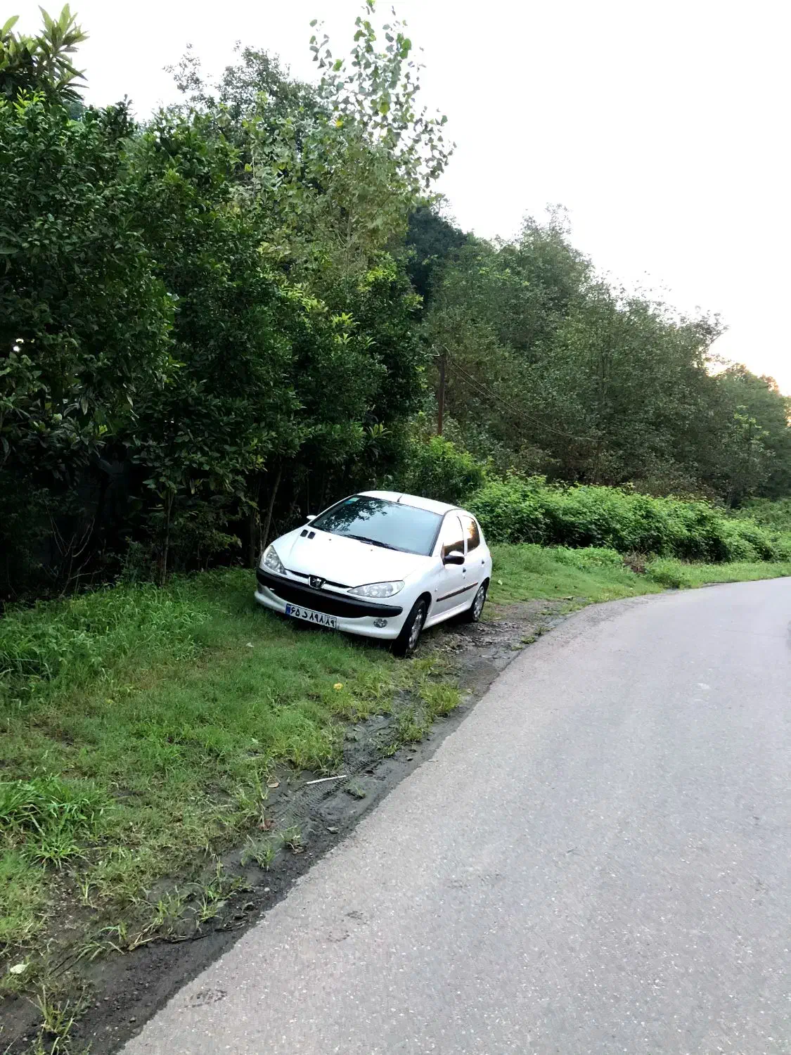 206تیپ۵ مدل۹۰بیرنگ|خودرو سواری و وانت|آبیک, |دیوار