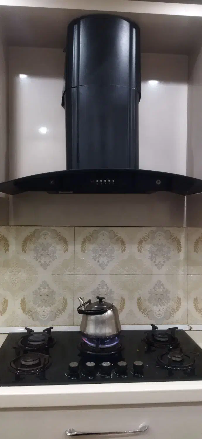 هود سالم|هود|تبریز, |دیوار