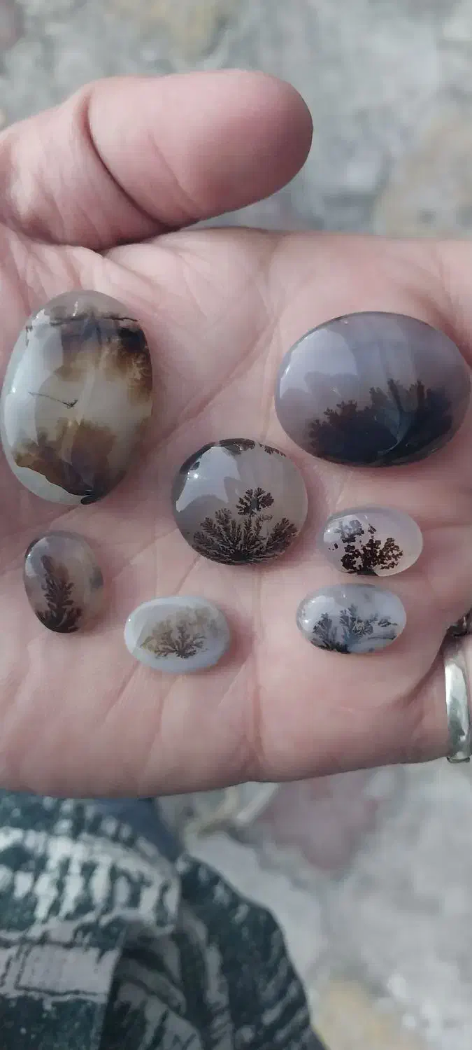 سنگ شجر اصل|جواهرات|بروجرد, |دیوار