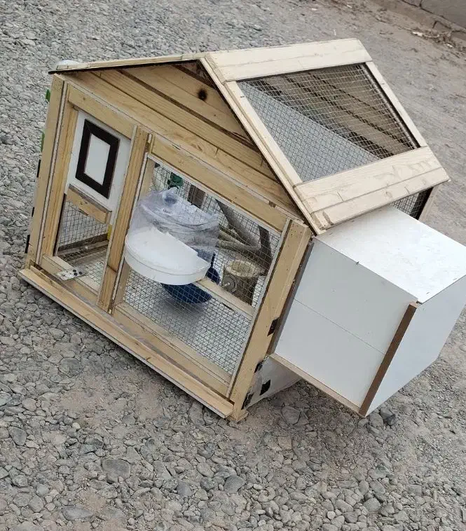 قفس|لوازم جانبی حیوانات|بم, |دیوار