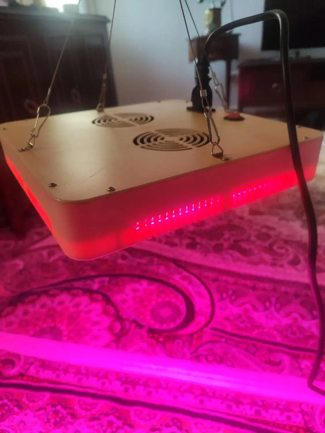 ال ای دی رشد گیاه|لامپ و چراغ|تهران, هفده شهریور|دیوار