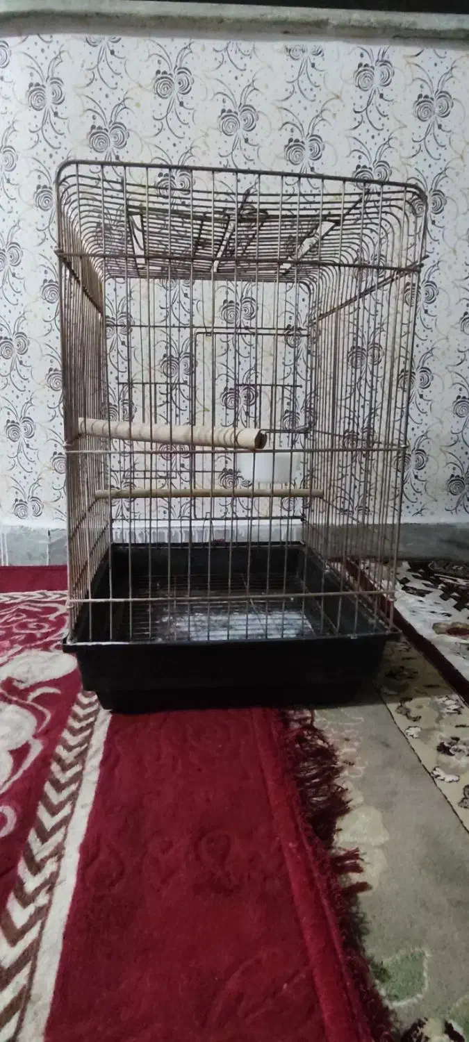 قفس گرینچیک|لوازم جانبی حیوانات|قزوین, |دیوار