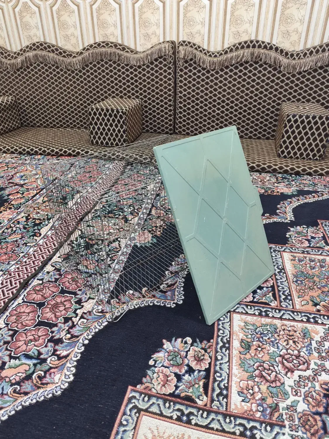 فروش قفس پرنده زینتی|لوازم جانبی حیوانات|اهواز, پردیس|دیوار