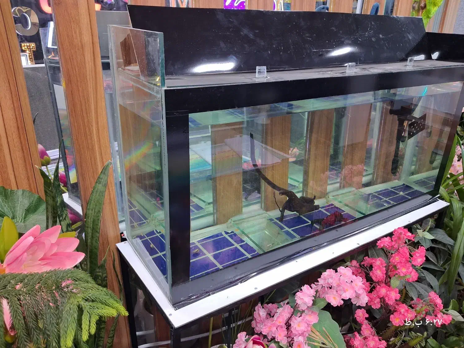 شیشه آکواریوم|ماهی|مرودشت, ژیان|دیوار