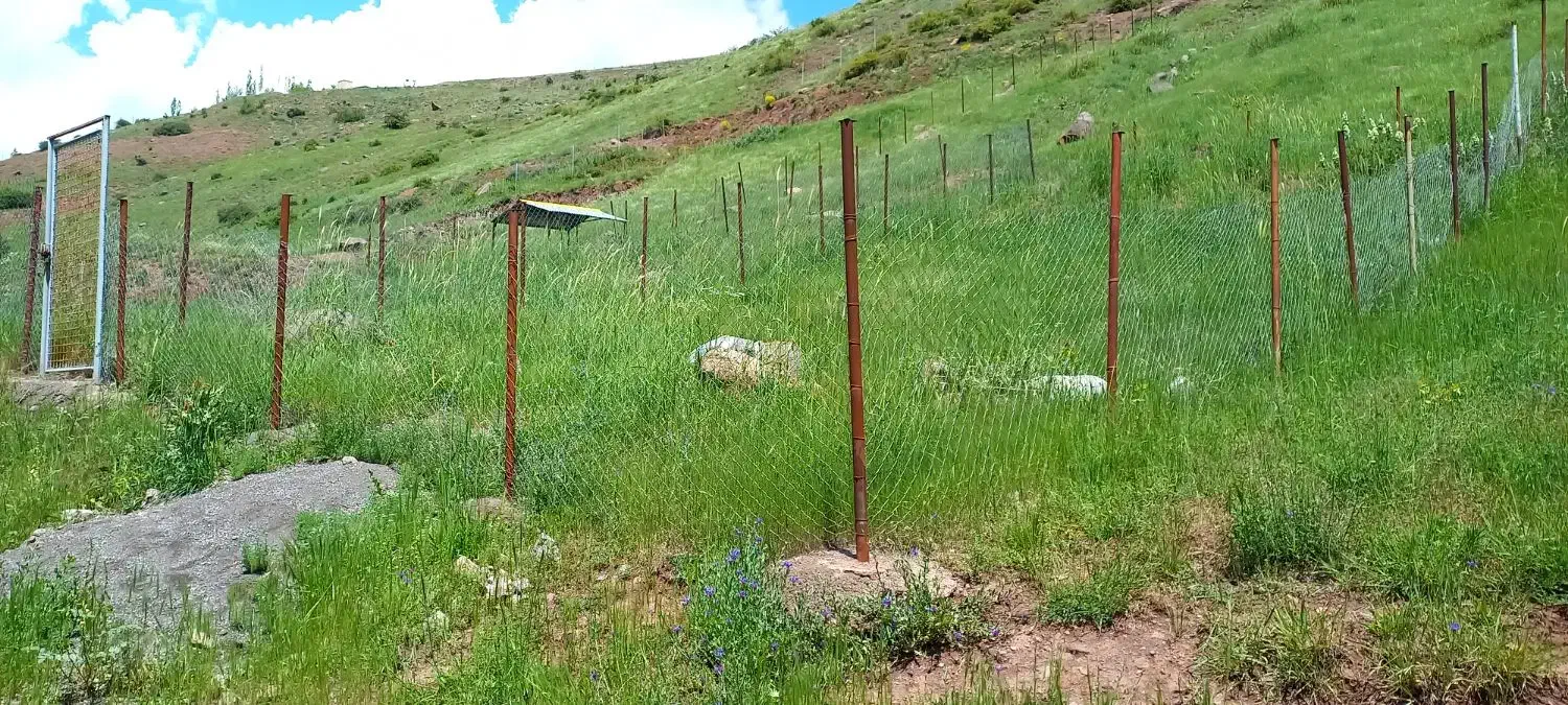 زمین چسب بافت روستای مرجان طالقان|فروش زمین و ملک کلنگی|طالقان, |دیوار