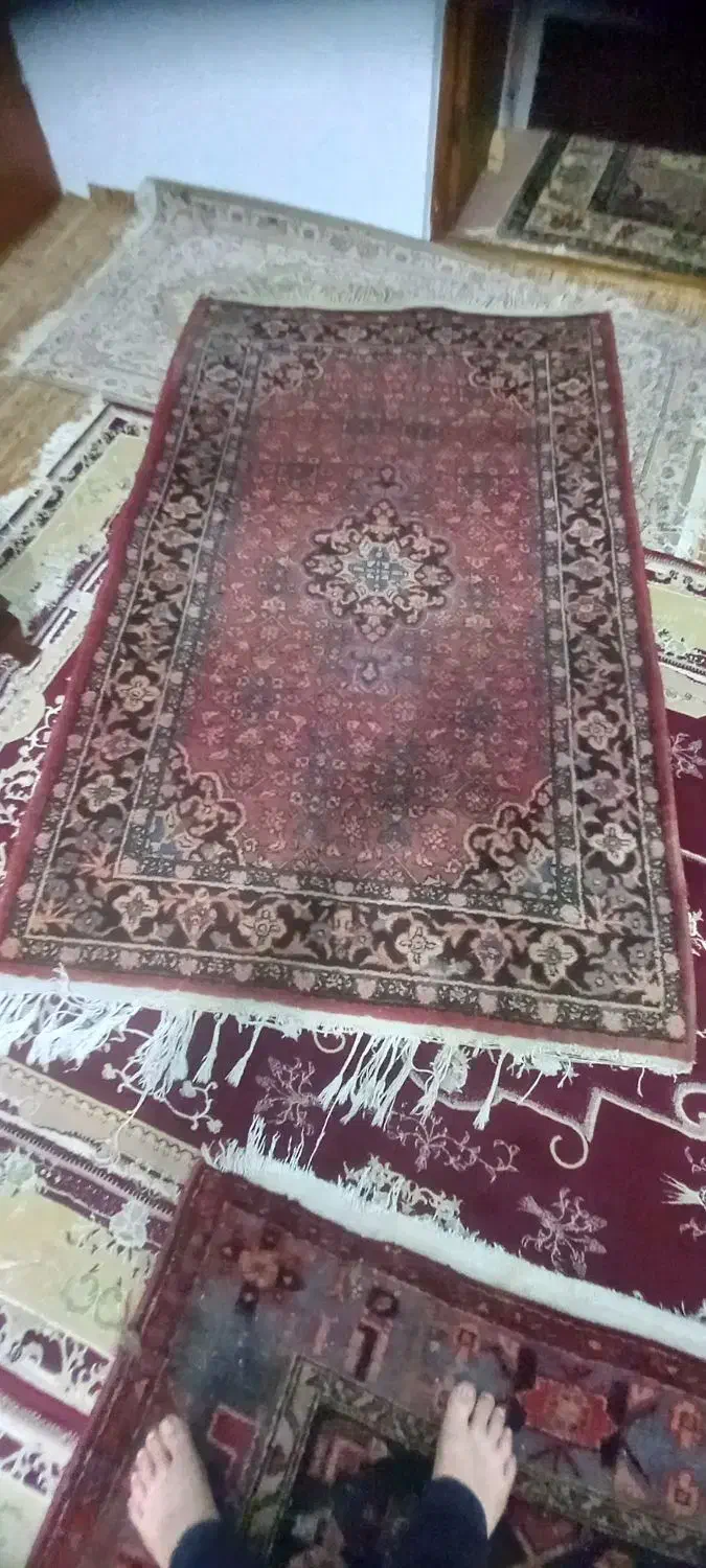 فرش دست بافت قدیمی|فرش|صومعه‌سرا, |دیوار