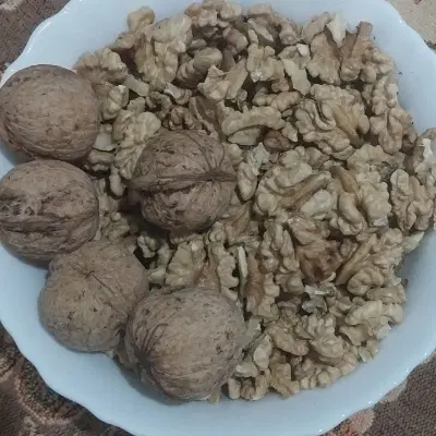 گردو|خوردنی و آشامیدنی|سنقر, |دیوار