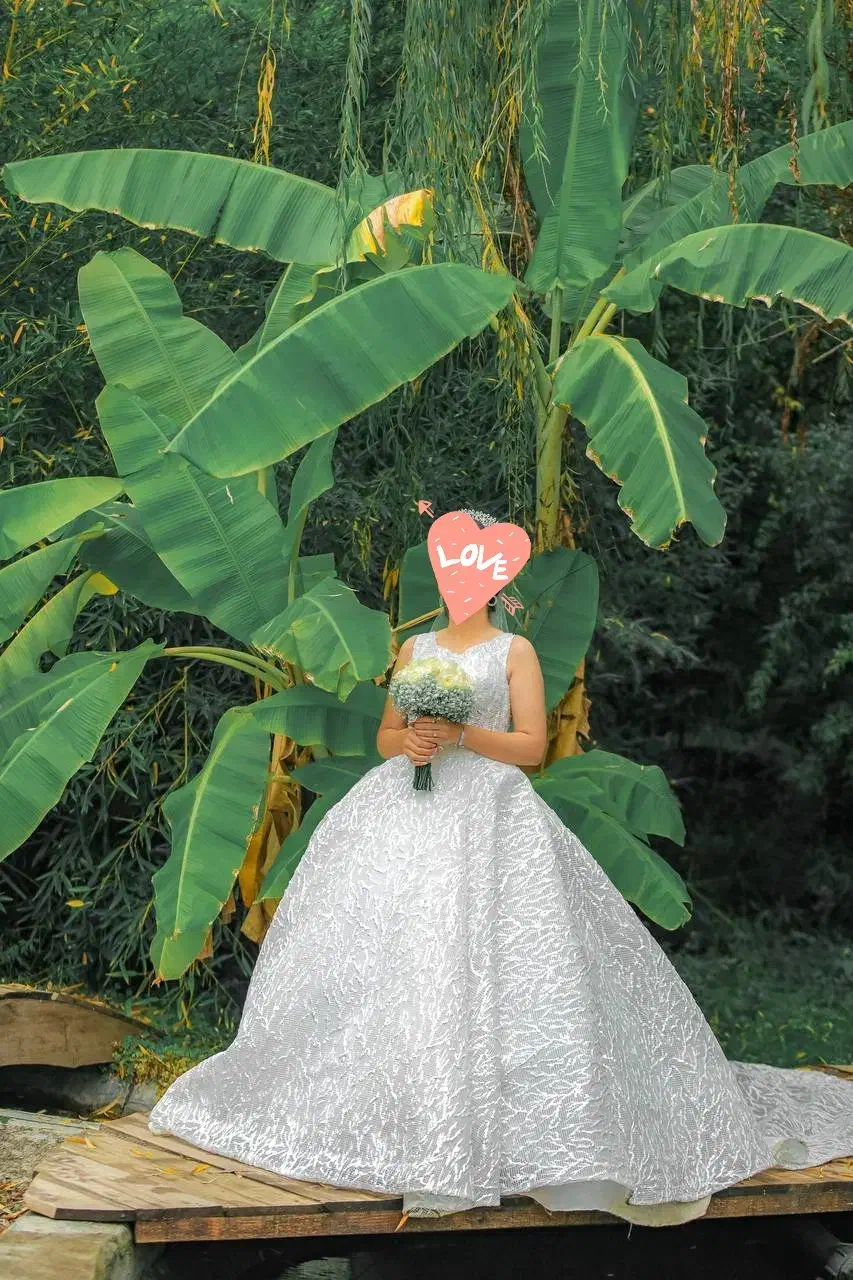 لباس عروس دنباله دار|لباس|گرگان, |دیوار