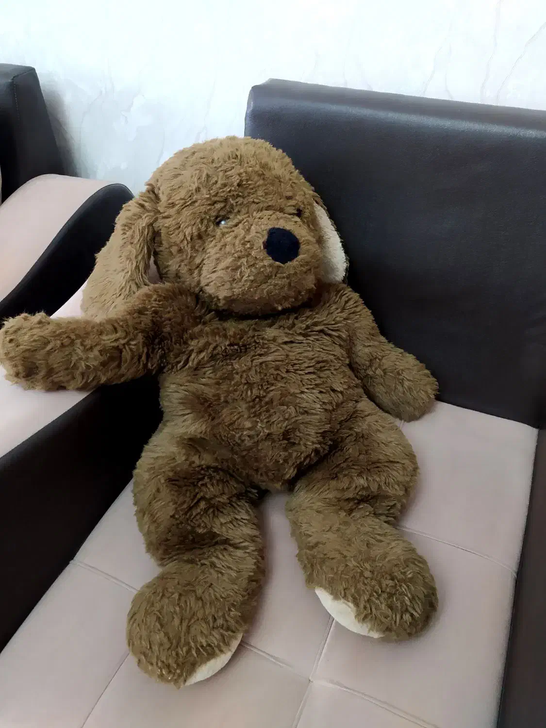 خرس عروسکی|اسباب‌‌بازی|تبریز, |دیوار