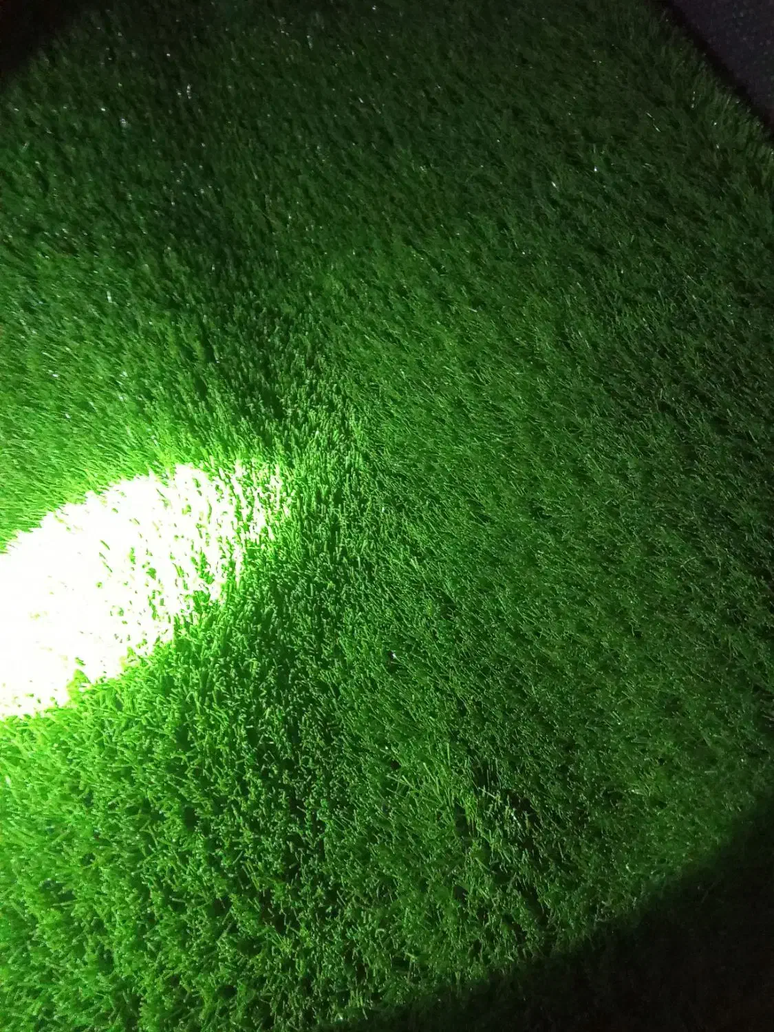 چمن مصنوعی نو|عمدهفروشی|چابهار, |دیوار