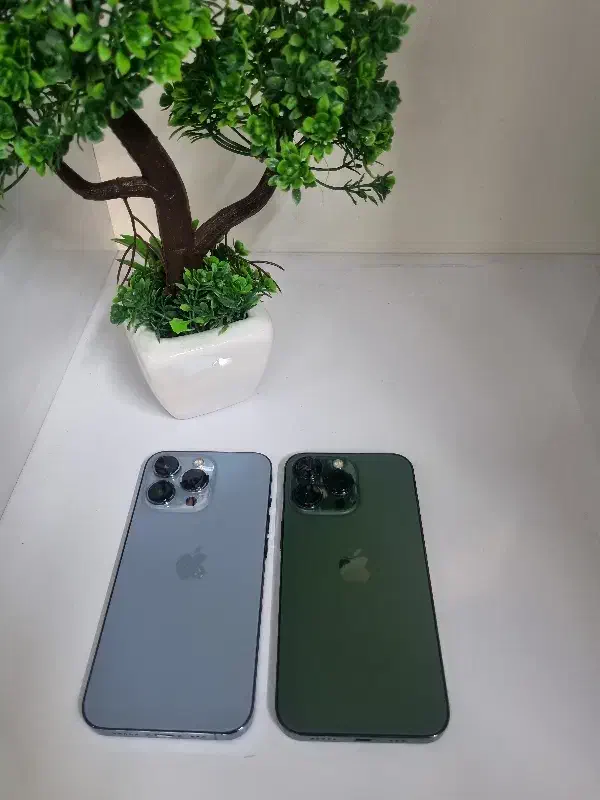 13pro درحددنوو بدون نقطه|موبایل|شیراز, فخرآباد (دروازه کازرون)|دیوار