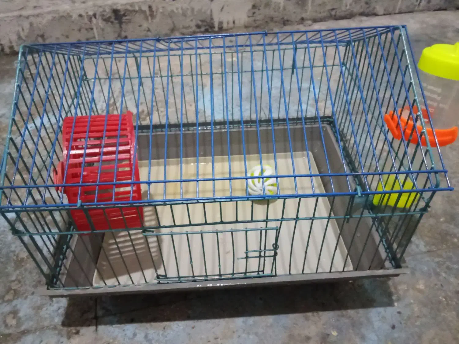 فروش فوری همستر|موش و خرگوش|دهدشت, |دیوار