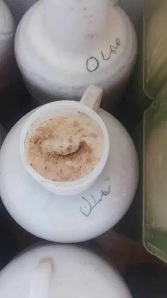 عسل کنار تازه|خوردنی و آشامیدنی|شیراز, شهرک کوثر|دیوار