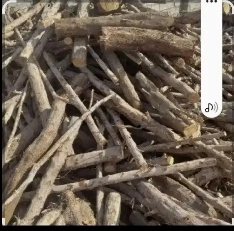 خریدار چوب قطع و هرس درخت|خدمات باغبانی و درختکاری|بندرعباس, |دیوار