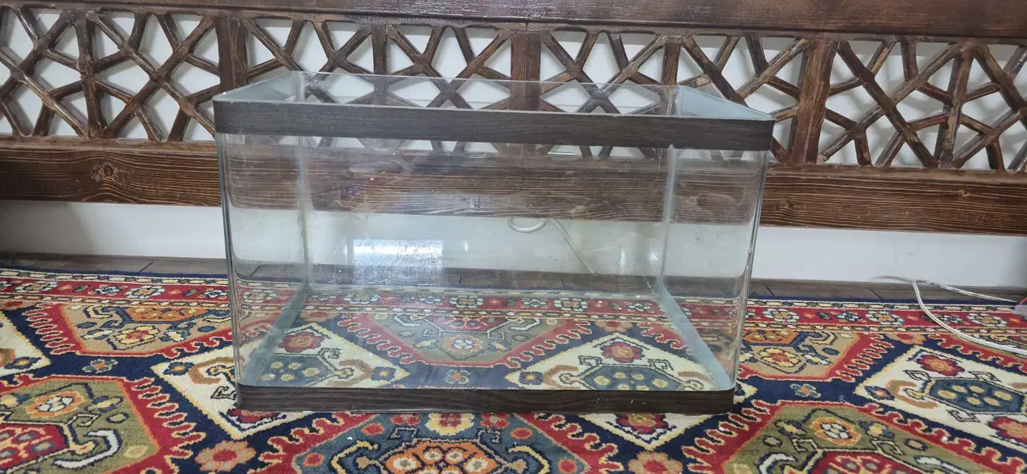 اکواریوم شیشه خم شرکتی|ماهی|تهران, مسعودیه|دیوار