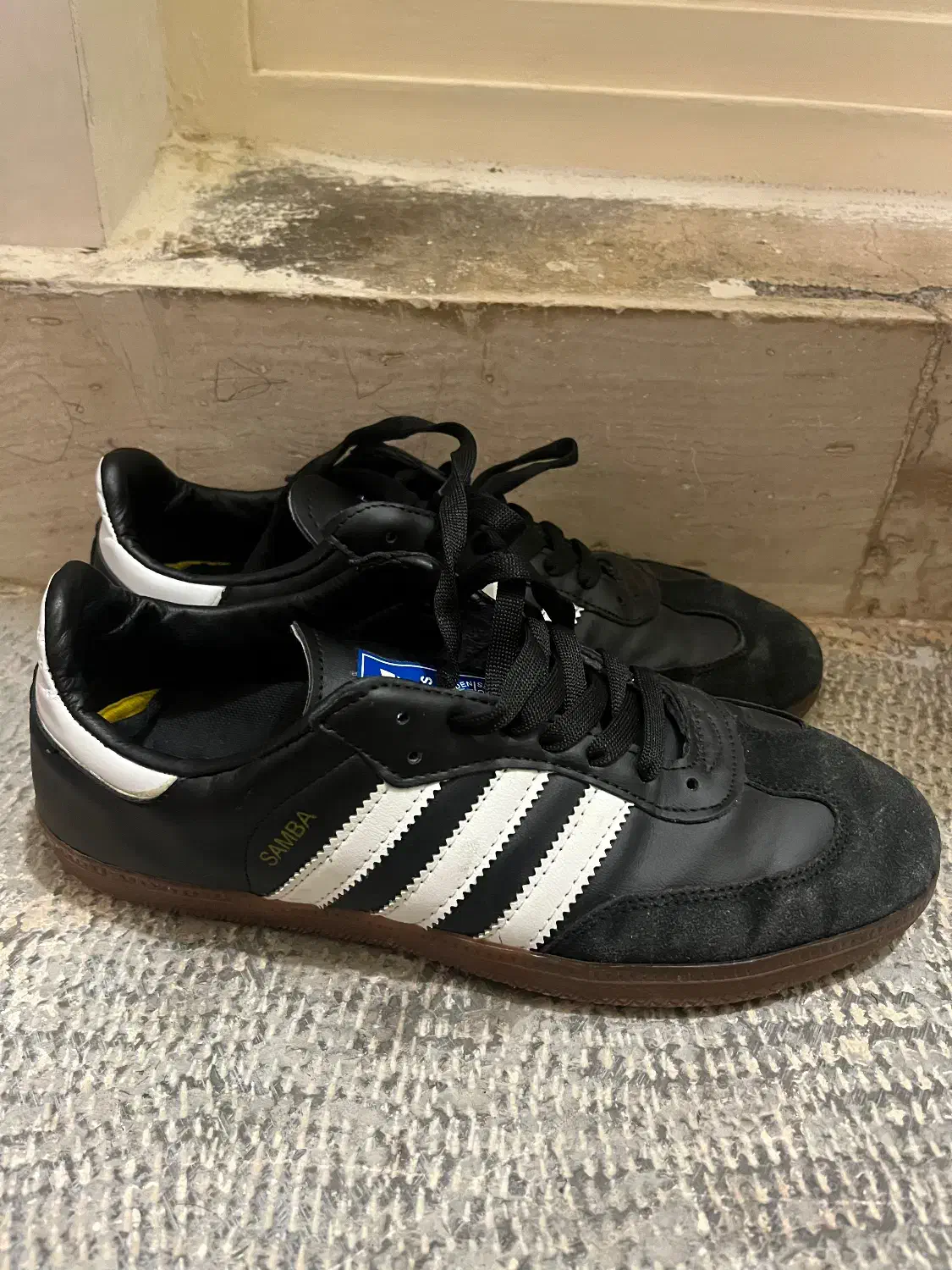 کفش سامبا اصل|کیف، کفش، کمربند|مراغه, |دیوار