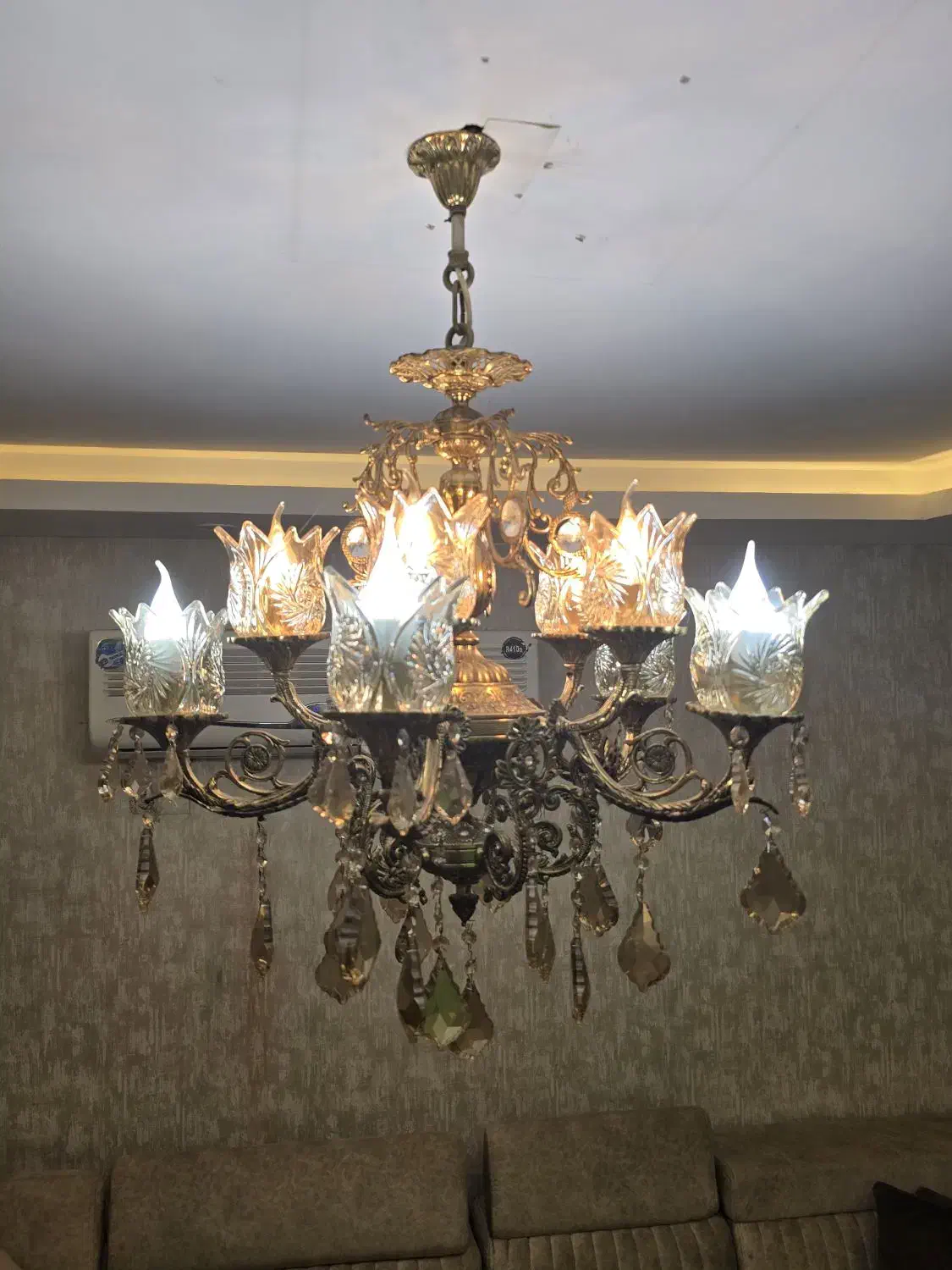 فروش لوستربرنج کریستال ،ده شعله|لوستر و چراغ آویز|رشت, کاکتوس|دیوار