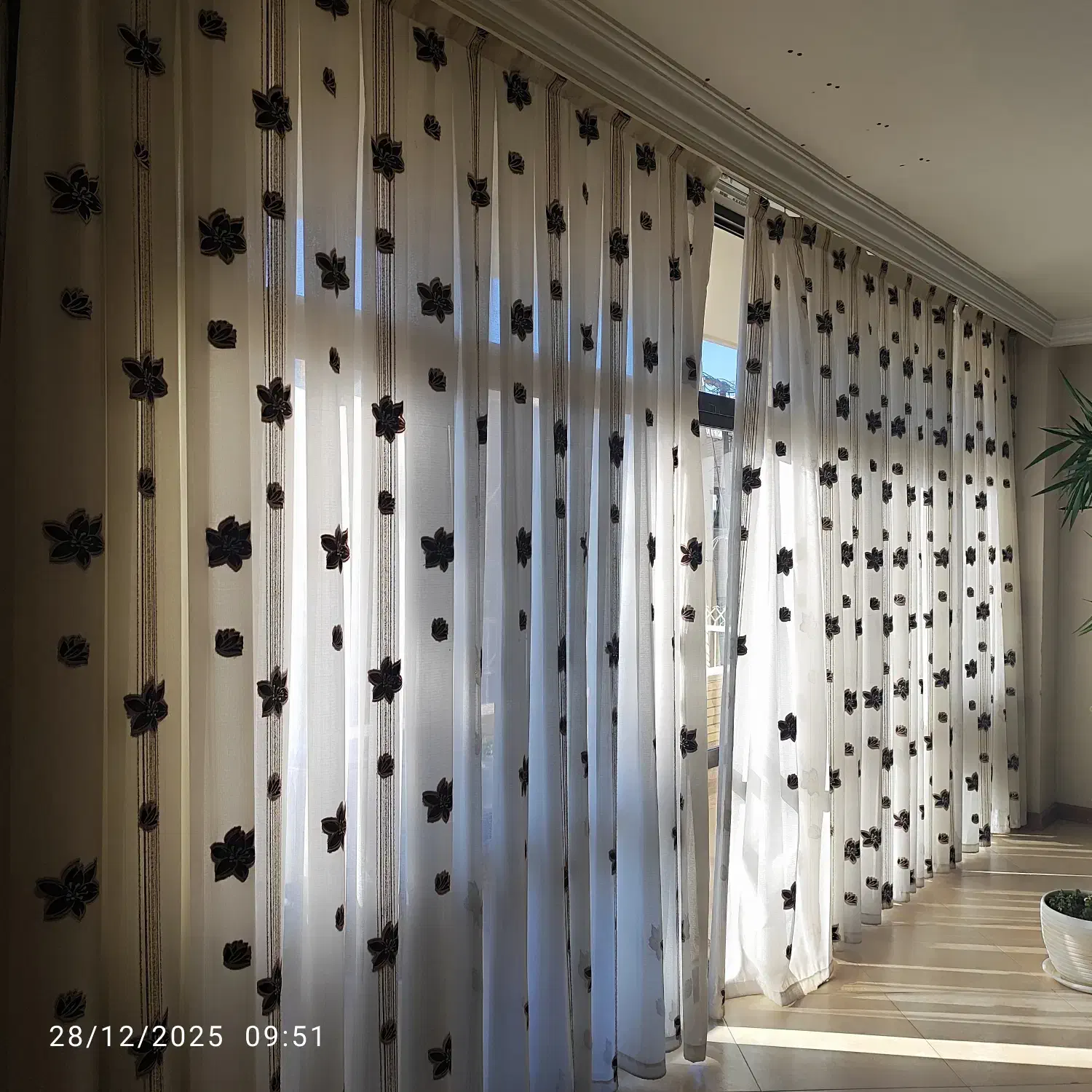 پرده|پرده، رانر، رومیزی|اصفهان, ملک|دیوار