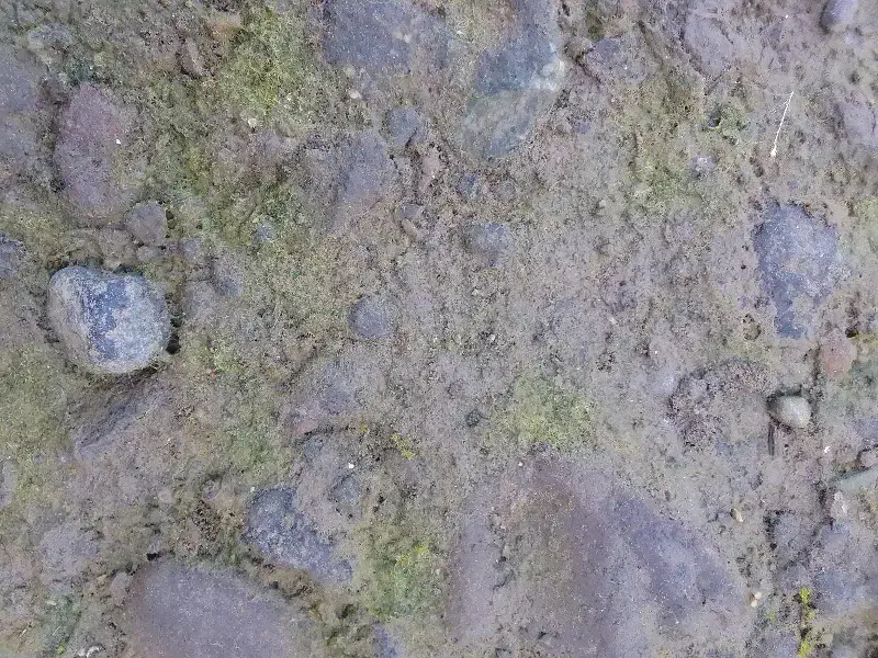 زمین مسکونی ۳۰۰ متر لوندویل آبشار|فروش زمین و ملک کلنگی|لوندویل, |دیوار