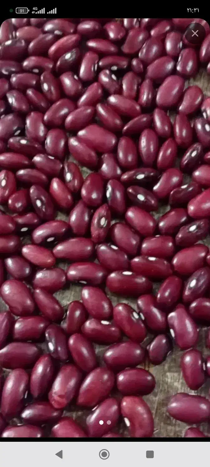 لوبیا قرمز درجه یک|خوردنی و آشامیدنی|آوج, |دیوار