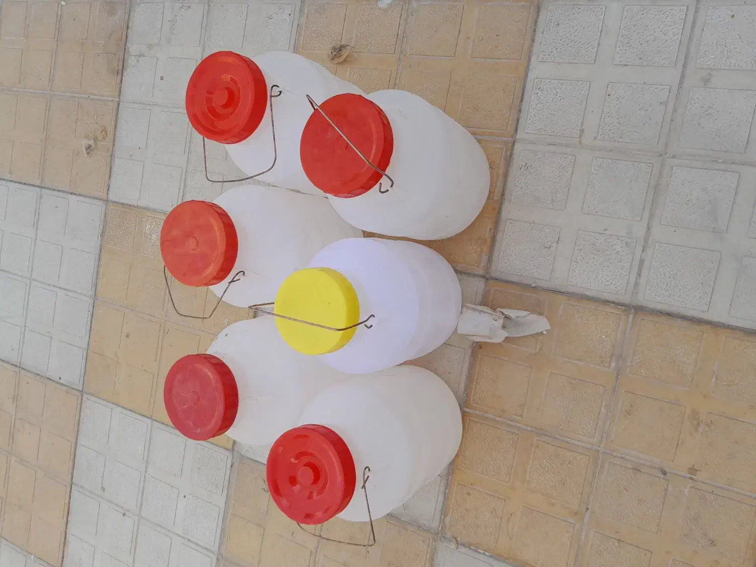 ظروف یکبار مصرف|ظروف نگهدارنده، پلاستیکی، یکبارمصرف|قوچان, |دیوار