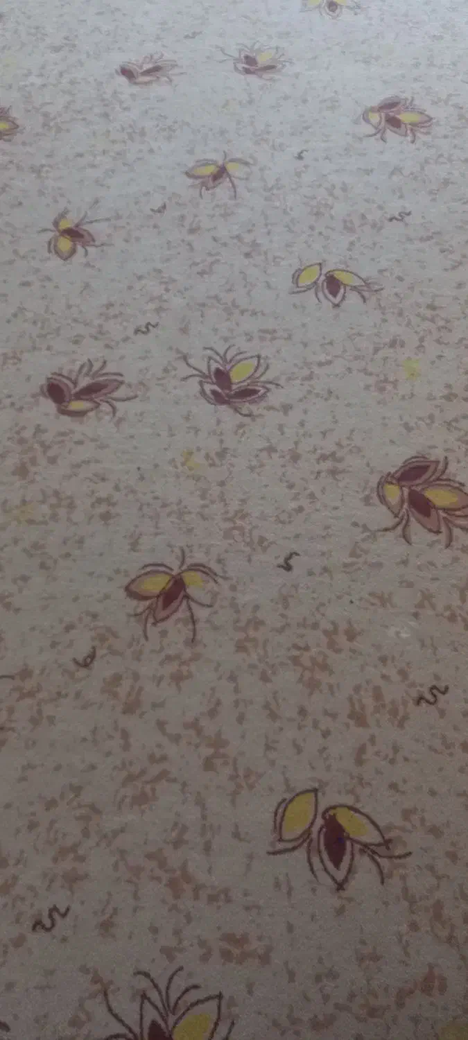 فرش 12متری وموکت وگلیم|فرش|ایلام, |دیوار