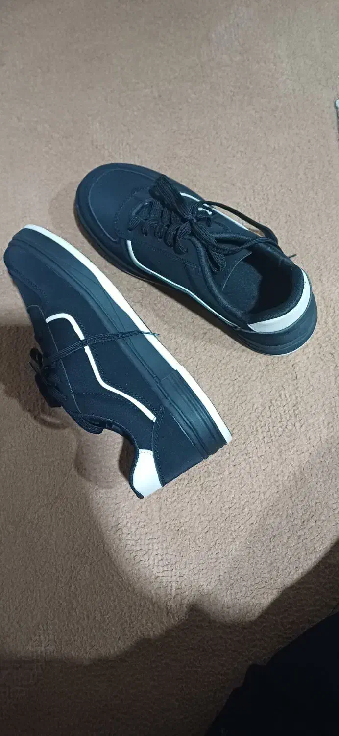 کفش‌اسپرت|کیف، کفش، کمربند|نیشابور, خط کاشمر|دیوار