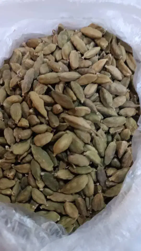 هل اماراتی|خوردنی و آشامیدنی|اهواز, بهارستان|دیوار