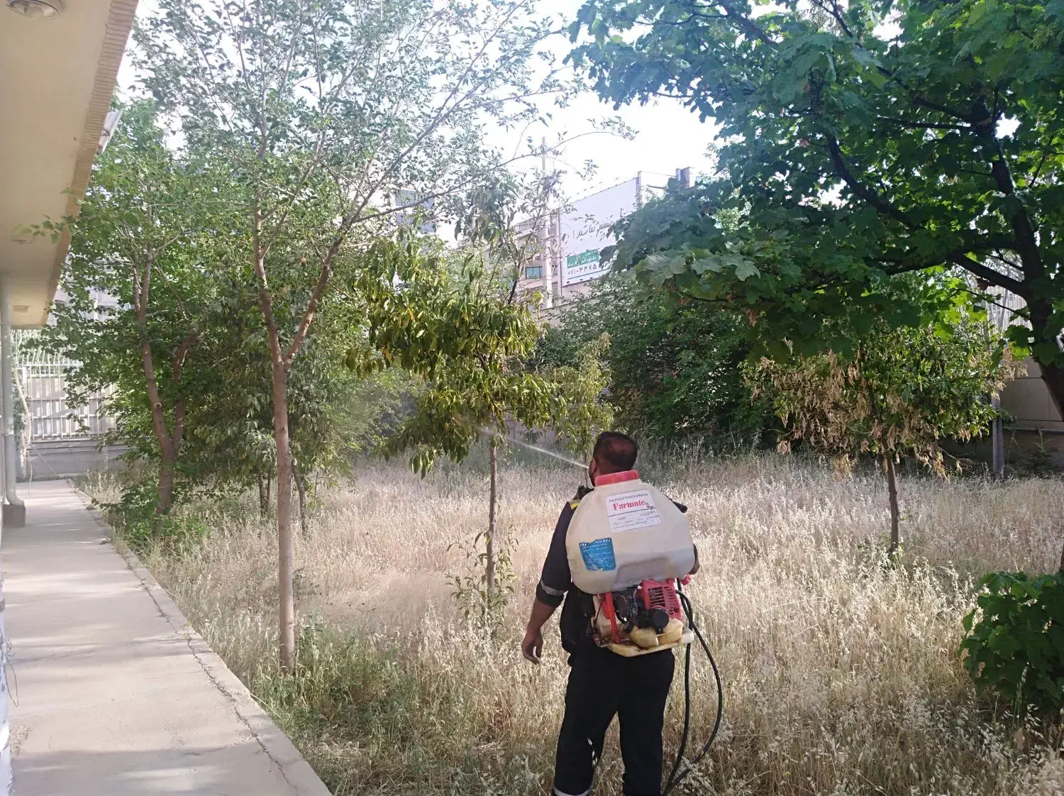 کلیه امورات باغبانی|خدمات باغبانی و درختکاری|شیراز, لشکری‎|دیوار