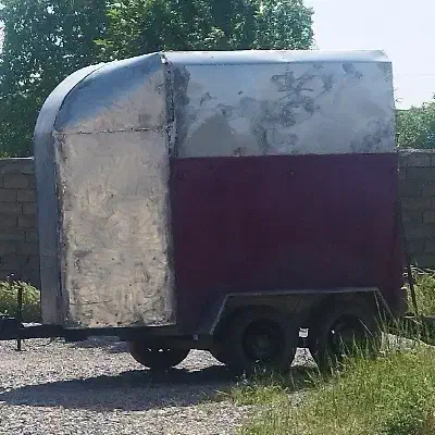 اسب کش|اسب و تجهیزات اسبسواری|کرمانشاه, |دیوار