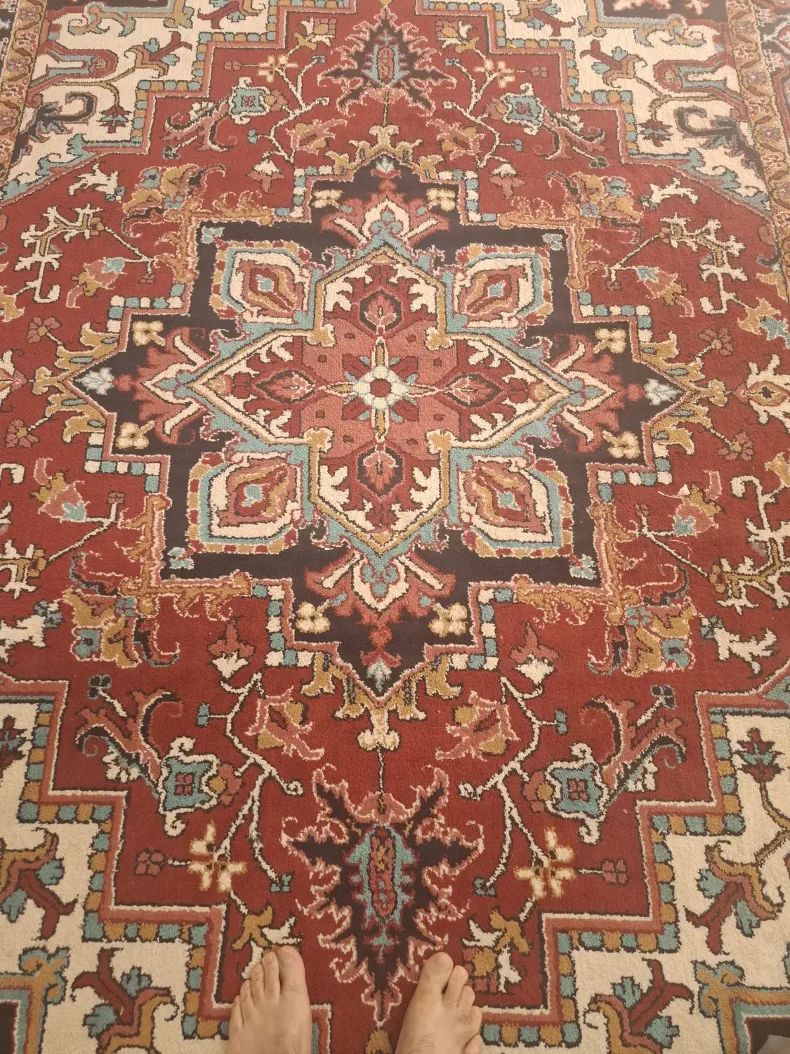 فرش ۲×۳ سهند|فرش|سلماس, |دیوار