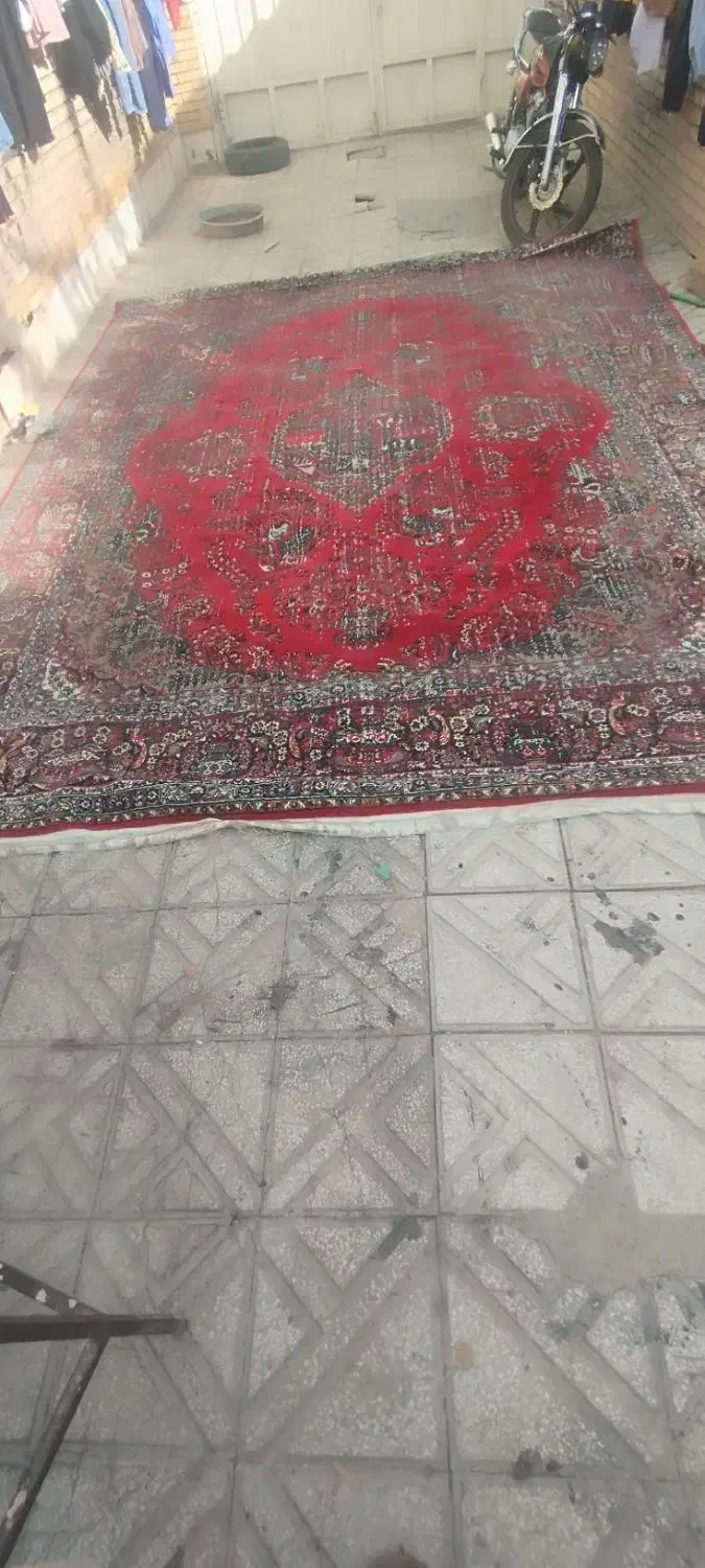 فرش|فرش|یزد, |دیوار