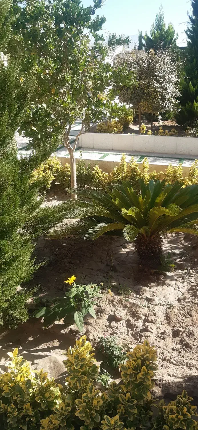 کلیه کارهای باغبانی درکوهپایه|خدمات باغبانی و درختکاری|کرمان, |دیوار