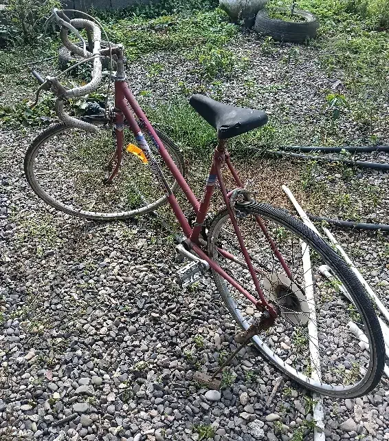 دوچرخه کورسی|دوچرخه، اسکیت، اسکوتر|آستانه اشرفیه, |دیوار