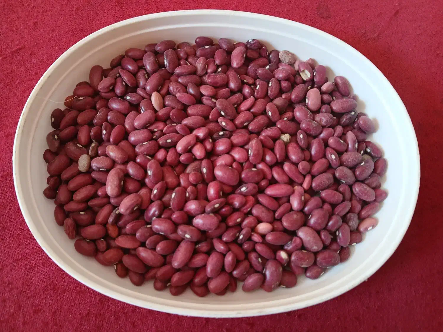 لوبیا قرمز|خوردنی و آشامیدنی|درودزن, |دیوار