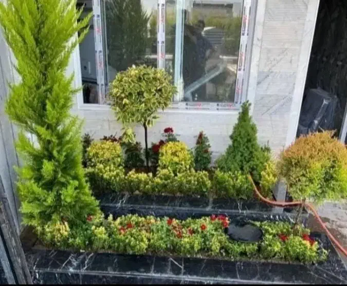 خدمات کلیه باغبانی باغچه کاری گلکاری کاشت گل وگیا|خدمات باغبانی و درختکاری|شهریار, شهرک شاهد|دیوار