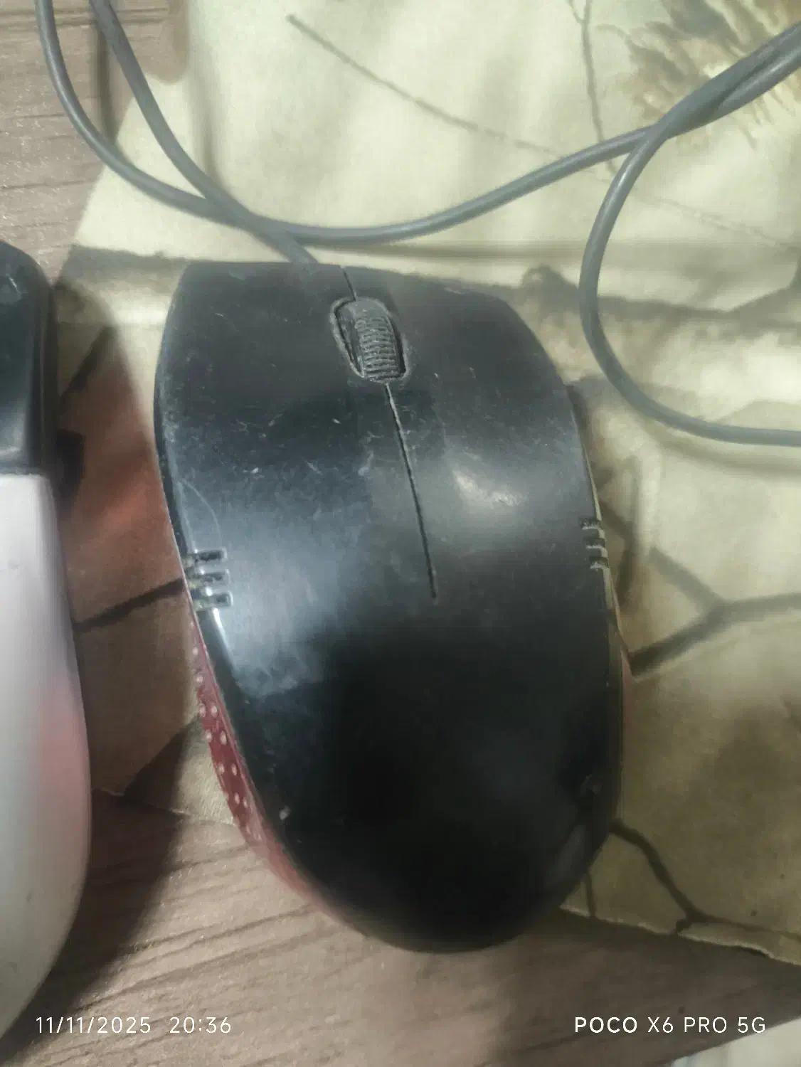 موس|قطعات و لوازم جانبی رایانه|الوند, |دیوار