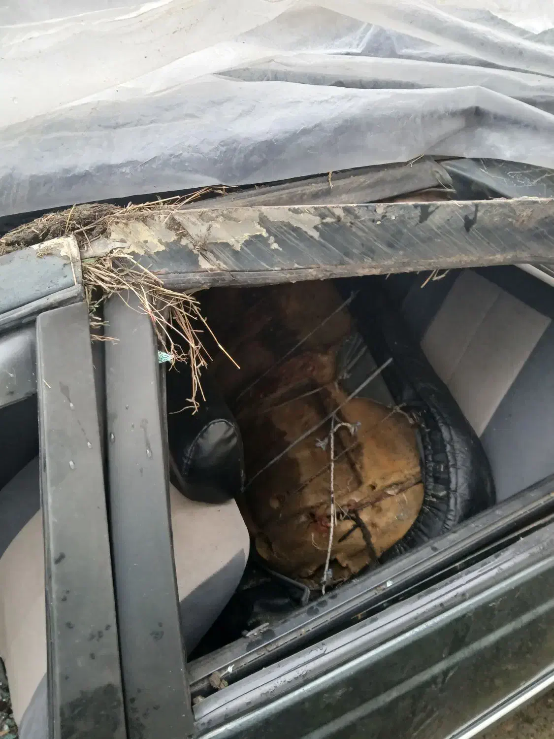 ماشین پژو405تصادفی|خودرو سواری و وانت|رشت, عینک|دیوار