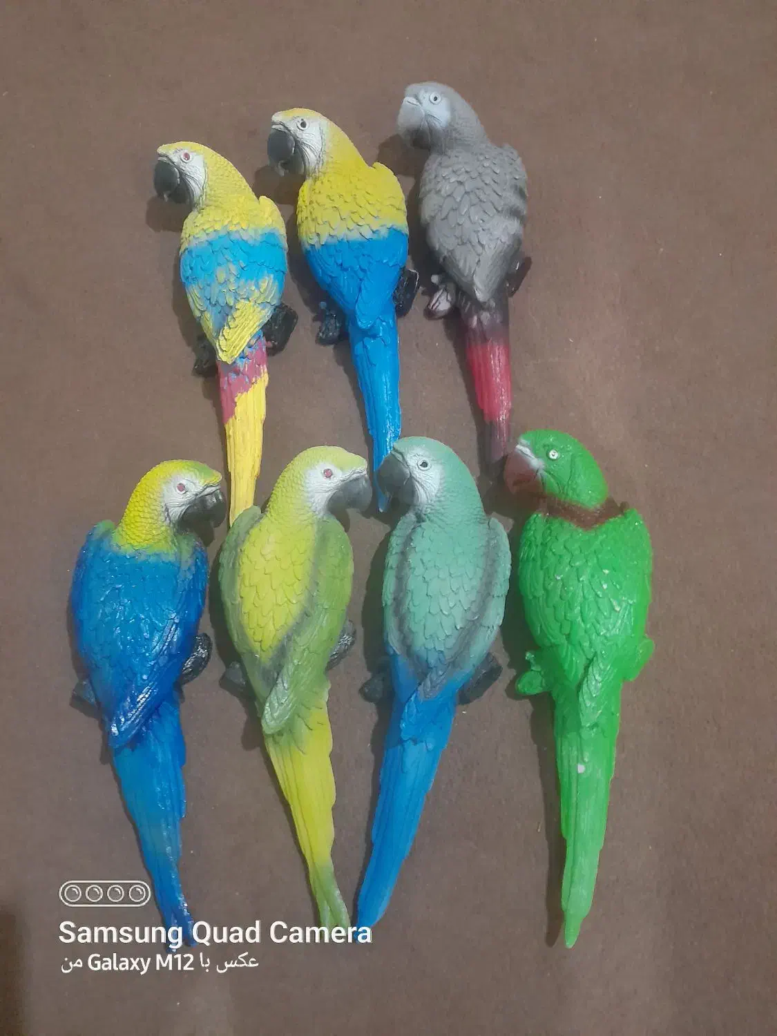 طوطی و پروانه و سرویس بهداشتی پلی استر رزین|مجسمه، تندیس، ماکت|ایذه, |دیوار