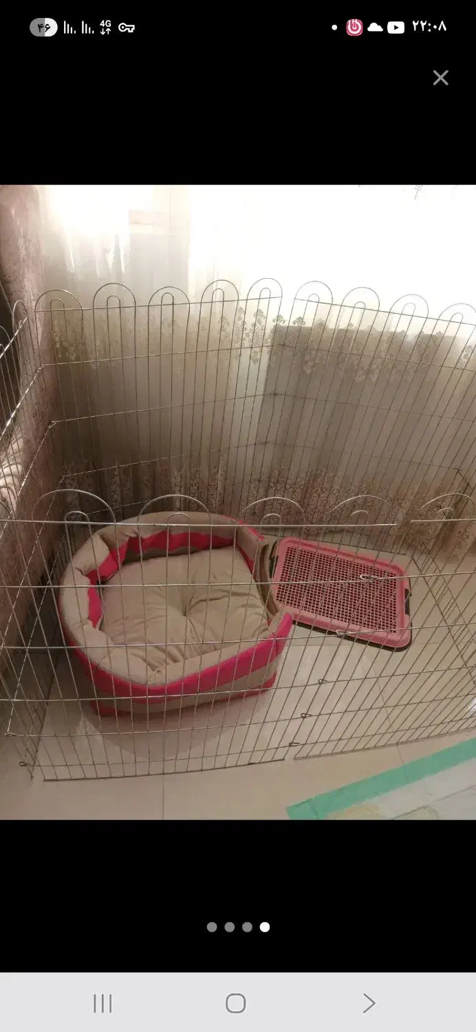 فروش وسایل جانبی سگ خانگی|لوازم جانبی حیوانات|شیراز, شهرک بزین|دیوار