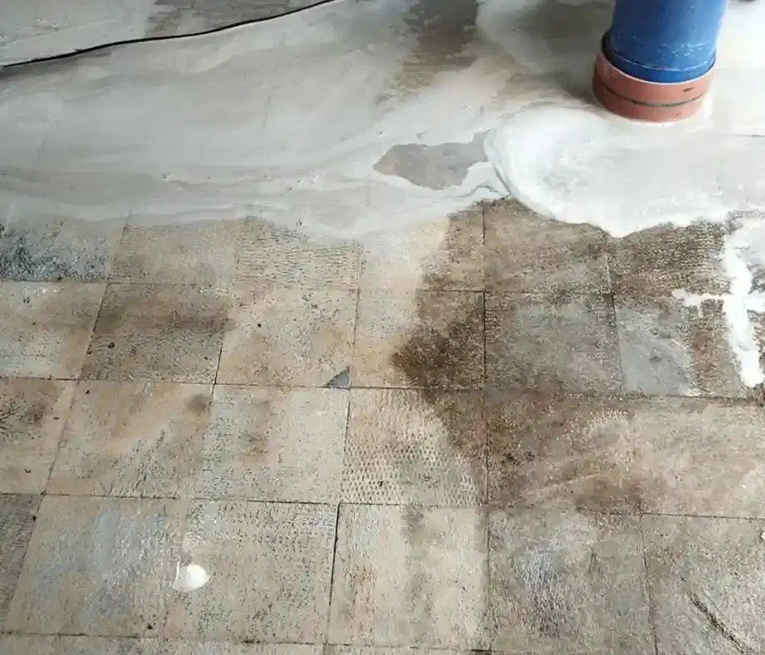 خدمات کفسابی ساختمان|خدمات نظافت|اندیکا, |دیوار