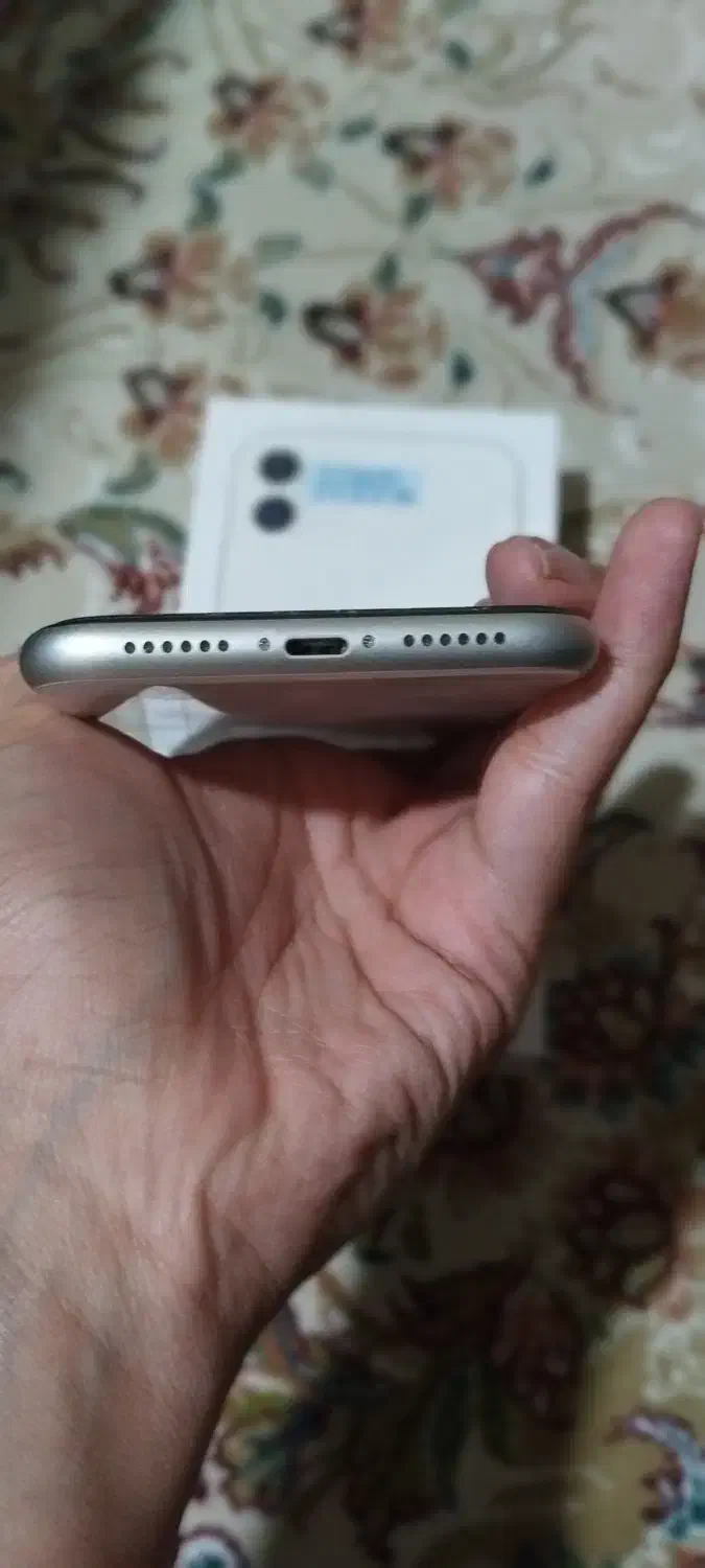 Iphone 11|موبایل|یاسوج, |دیوار