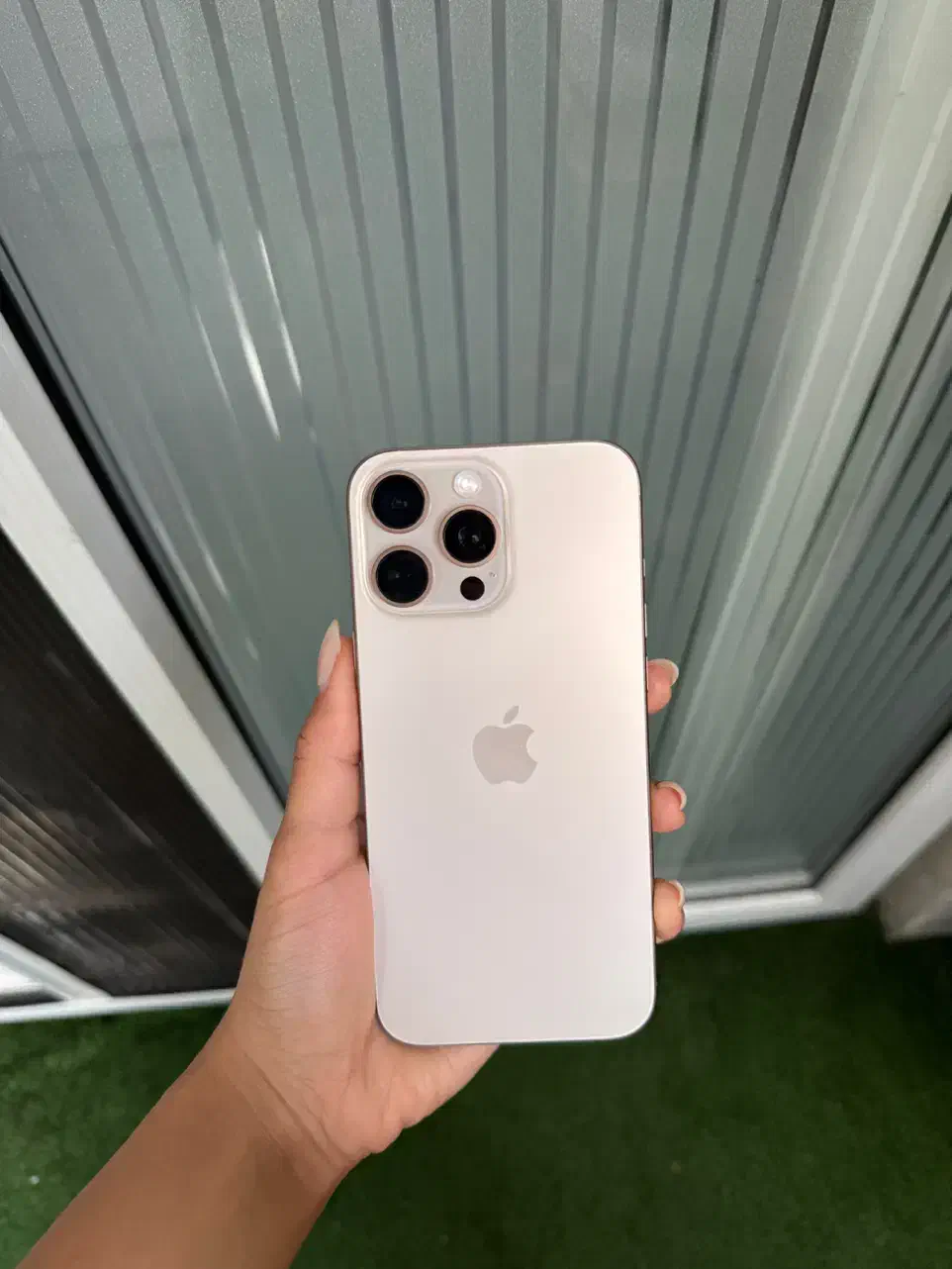 ۱۶پرومکس ۲۵۶|موبایل|رشت, گلسار|دیوار