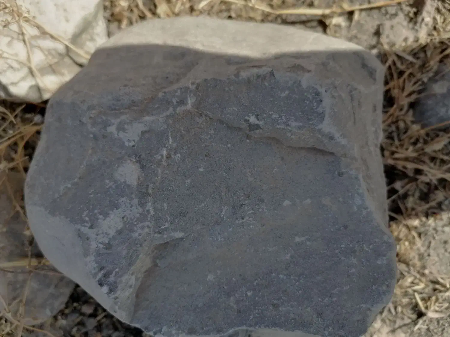 وسایل سخصی|کلکسیون اشیاء عتیقه|رضویه, |دیوار